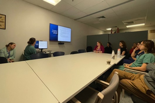 Fetal Therapy observation